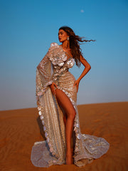 silvery evening gown