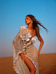 silvery evening gown